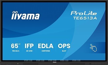 Фото Iiyama ProLite TE6513A-B1AG