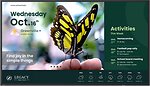 Фото BenQ ST4304 (9H.S3YTB.RE2)