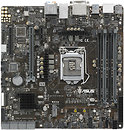 Фото Asus P10S-M WS