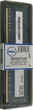 Фото Dell SNP66GKYC/8G