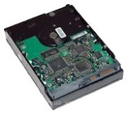 Фото HP 250 GB (EA788A)