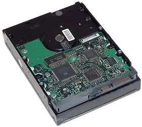 Фото HP 1 TB (LQ037AA)