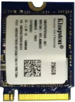 Фото Kingston Design-In 256 GB (OM3PDP3256B-A01)