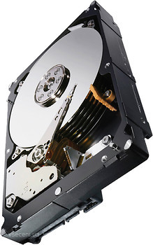 Фото Seagate Constellation ES.3 1 TB (ST1000NM0023)