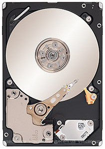 Фото Seagate Savvio 10K.6 300 GB (ST300MM0026)