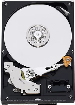 Фото Western Digital AV-GP 320 GB (WD3200AVCS)