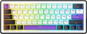 Фото Hator Hellyberry HK60 White/Violet USB (HK60)