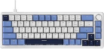 Фото A-Jazz AK690 Melard Switch MC White/Blue USB