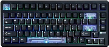 Фото EPOMAKER HE80 RGB Magnetic MagneX Switch Black USB (HE80-B-M-UA)
