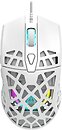 Фото Canyon CND-SGM20W White USB