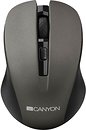 Фото Canyon CNE-CMSW1 Graphite USB