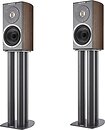 Фото Audiovector R1 Arrete Italian Walnut