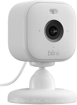Фото Blink Mini 2
