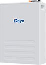 Фото Deye 51.2V 100Ah (SE-F5 Pro)