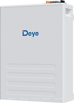 Фото Deye 51.2V 100Ah (SE-F5 Pro)