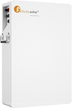 Фото FelicityESS LiFePO4 48V-100Ah (LPBA48100-OL)