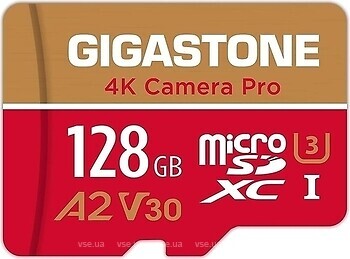 Фото Gigastone Professional microSDXC Class 10 UHS-I U3 A2 V30 128Gb (GS-2IN1666XU3V30A1-128GB-R)