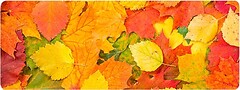 Фото Voltronic Autumn Leaves (FL372)