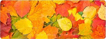 Фото Voltronic Autumn Leaves (FL372)