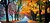 Фото Voltronic Autumn road (R362)