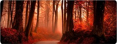 Фото Voltronic Red Forest (AR372)
