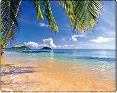 Фото Voltronic Tropical Palm (YT-CAT7)