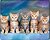 Фото Voltronic Five Cats (YT-CAT30)