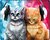 Фото Voltronic Cats In Headphones (YT-CAT31)
