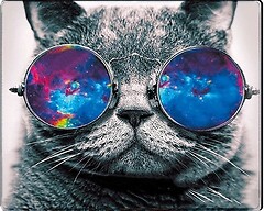 Фото Voltronic Cat with Glasses (YT-CAT20)
