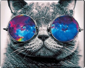 Фото Voltronic Cat with Glasses (YT-CAT20)