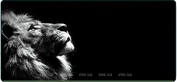 Фото Voltronic Lion (20909)