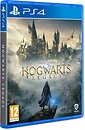 Фото Hogwarts Legacy (PS4), Blu-ray диск