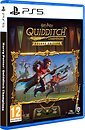 Фото Harry Potter: Quidditch Champions. Deluxe Edition (PS5), Blu-ray диск