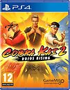 Фото Cobra Kai 2: Dojos Rising (PS4), Blu-ray диск