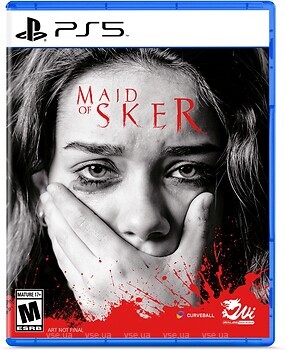 Фото Maid of Sker (PS5), Blu-ray диск
