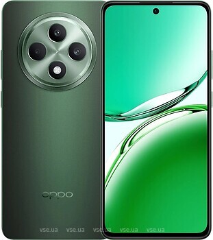 Фото Oppo Reno12 FS 4G 8/256Gb Olive Green