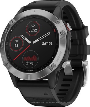 Фото Garmin Fenix 6 Silver with Black Band (010-02158-00)