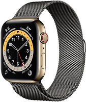 Фото Apple Watch Series 6 GPS + Cellular 44mm Gold Stainless Steel Case with Graphite Milanes Loop (M0GD3/M0GV3)