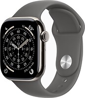 Фото Apple Watch Series 11 GPS + Cellular 42mm Natural Titanium Case with Stone Grey Sport Band (MF8N4RK/A)