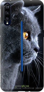 Фото Endorphone Чехол на Vivo IQOO Красивый кот (3038u-1779-40865)