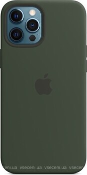 Фото Apple iPhone 12/12 Pro Silicone Case with MagSafe Cyprus Green