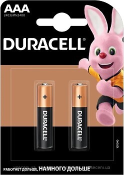 Фото Duracell AAA/LR03 MN2400 2 шт (5007819)