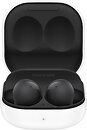 Фото Samsung Galaxy Buds 2 Graphite (SM-R177NZKAX)
