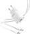 Фото Pisen Quick GaN USB-C+USB-A 30W EU Lightning Cable (TC-082AC30G_Kit)