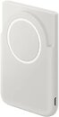 Фото Samsung EB-U2500XJEGWW 5000 mAh Gray/White