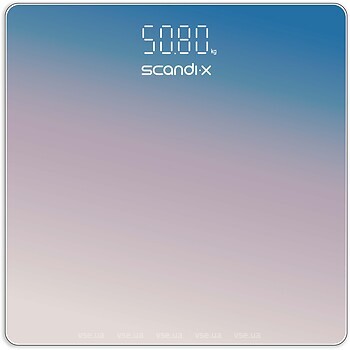 Фото Scandix BSG26-P Gradient