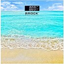 Фото Brock Electronics BS 002