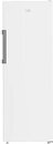 Фото BEKO B1RFNE293W