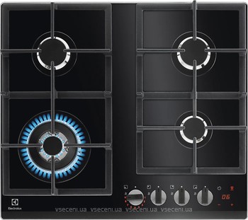 Фото Electrolux GPE365YPB