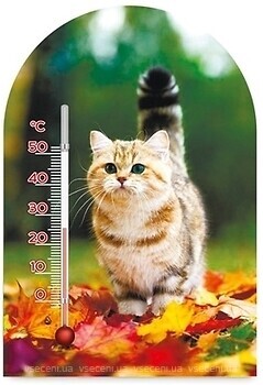 Фото Стеклоприбор Зоо Мир Осенний кот (300623)